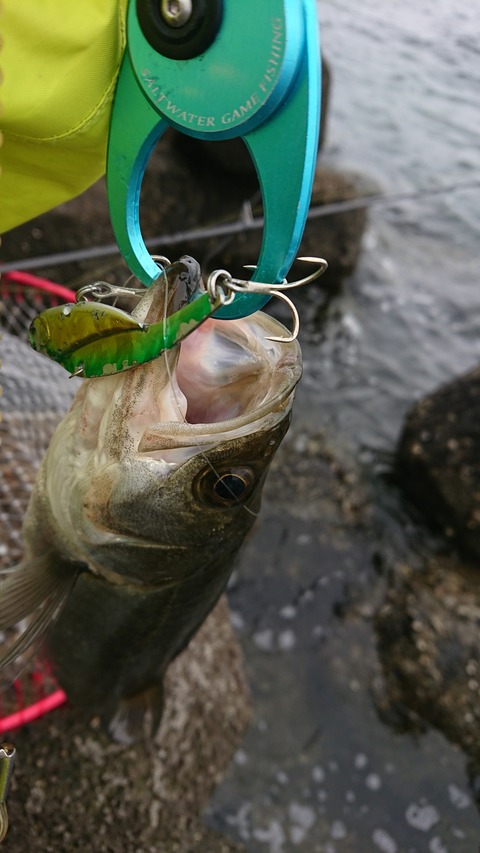 [画像:034daa61-s.jpg]