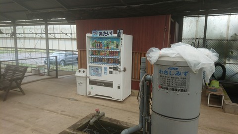 [画像:22b2e13d-s.jpg]