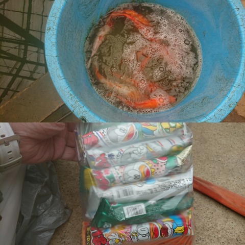 [画像:2a92fc59-s.jpg]