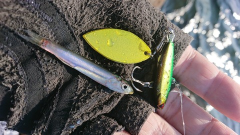 [画像:46b82826-s.jpg]