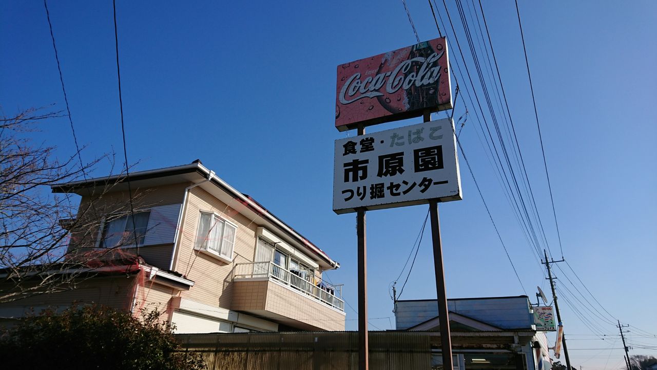 市原園釣り堀センター タナゴの釣り堀 千葉県発 湾奥シーバス 印旛新川ブラックバス 手賀沼タナゴ 市原園釣り堀センター タナゴの釣り堀 千葉県発 湾奥シーバス 印旛新川ブラックバス 手賀沼タナゴ