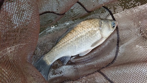 [画像:5bfe949f-s.jpg]