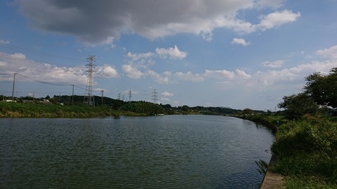 [画像:7b8b9a08-s.jpg]