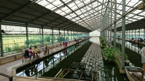 [画像:8fc8946b-s.jpg]