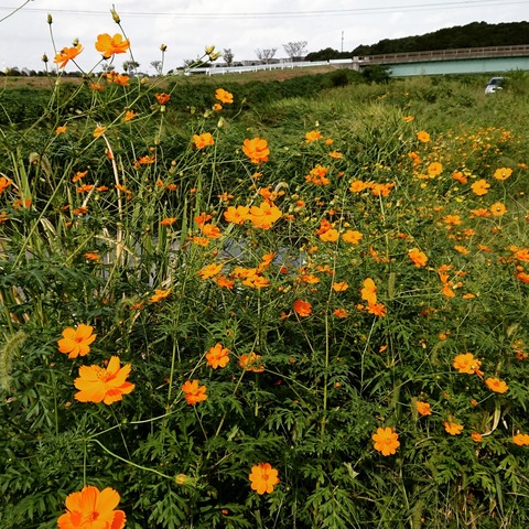 [画像:97eefebd-s.jpg]