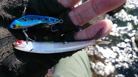 [画像:a9418003-s.jpg]