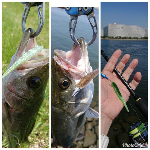 PhotoGrid_1526017341132