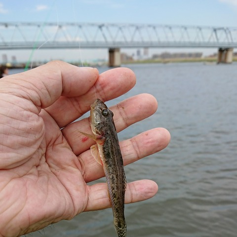 [画像:e83b1d82-s.jpg]