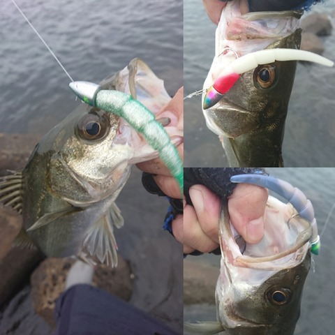 [画像:f8c3eb15-s.jpg]