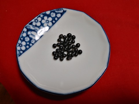 黒豆ミニ