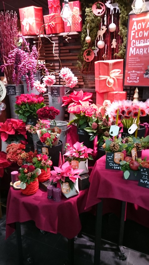 クリスマス花２－１８－２