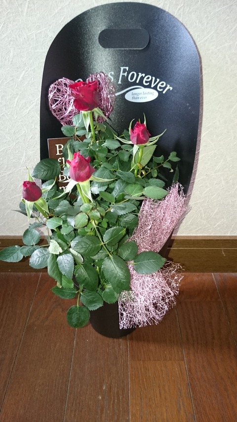 お誕生日　の花