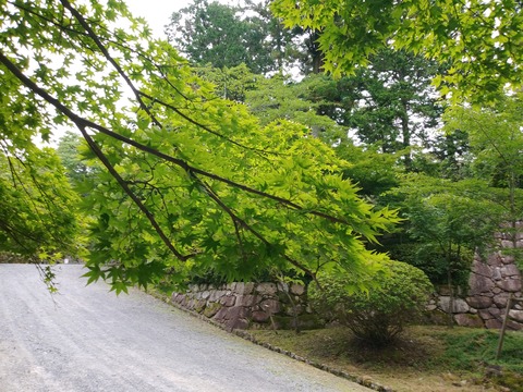 三井寺参道