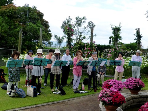 バラ・ハーブ園2