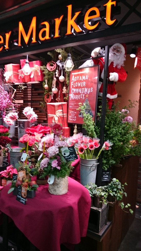 クリスマス花２０１８－３