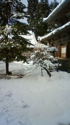 永平寺の庭