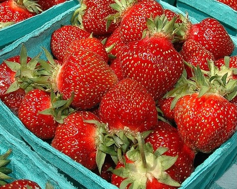 organic-strawberries2