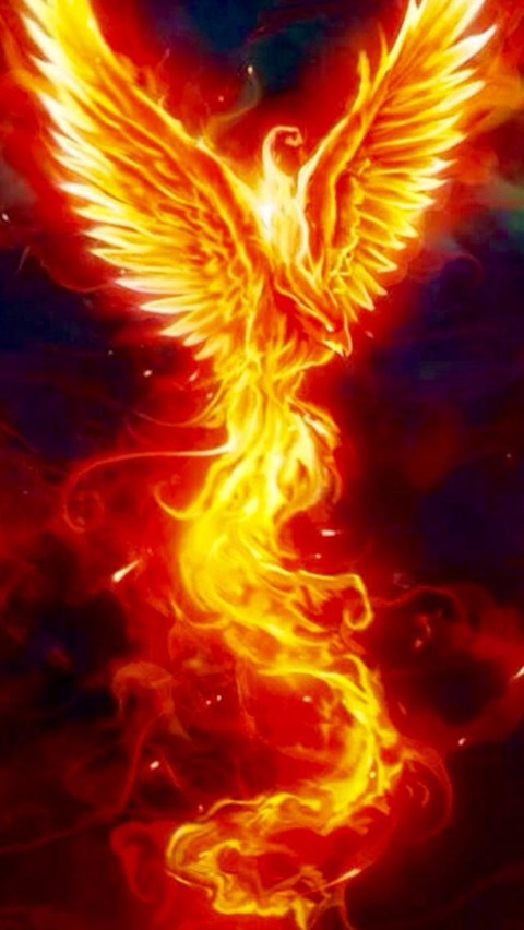 phoenix