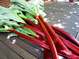 rhubarb