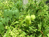 05683f46.jpg
