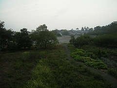 2010年09月18日 帰省 実家からの風景@朝5時