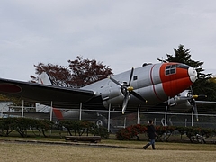 2010ǯ11·î23Æü ¥Ñ¥ó¥¸¥ã7ºÐ¤ÎÃÂÀ¸Æü in ºë¶Ì¸©½êÂô¹Ò¶õ¸ø±à 9