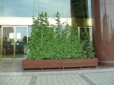 ºë¶Ì¸©Àî¸ý»Ô Àî¸ý±Ø¼þÊÕ 2009ǯ07·î14Æü(²Ð) 4 ºë¶Ì¸©Àî¸ý»Ô Àî¸ý±Ø¼þÊÕ 2009ǯ07·î14Æü(²Ð) 4