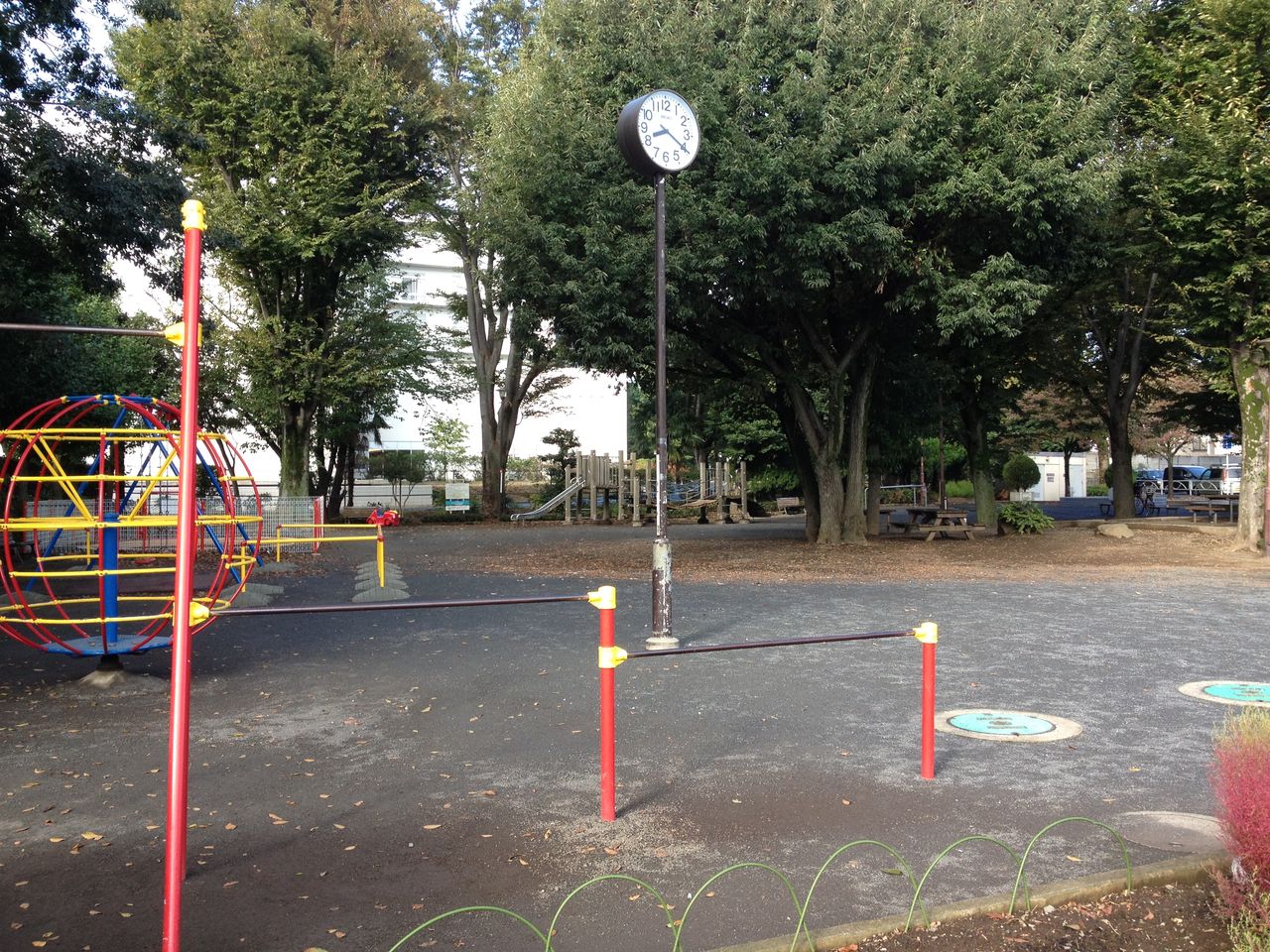 Evernote Camera Roll 20131031 055353