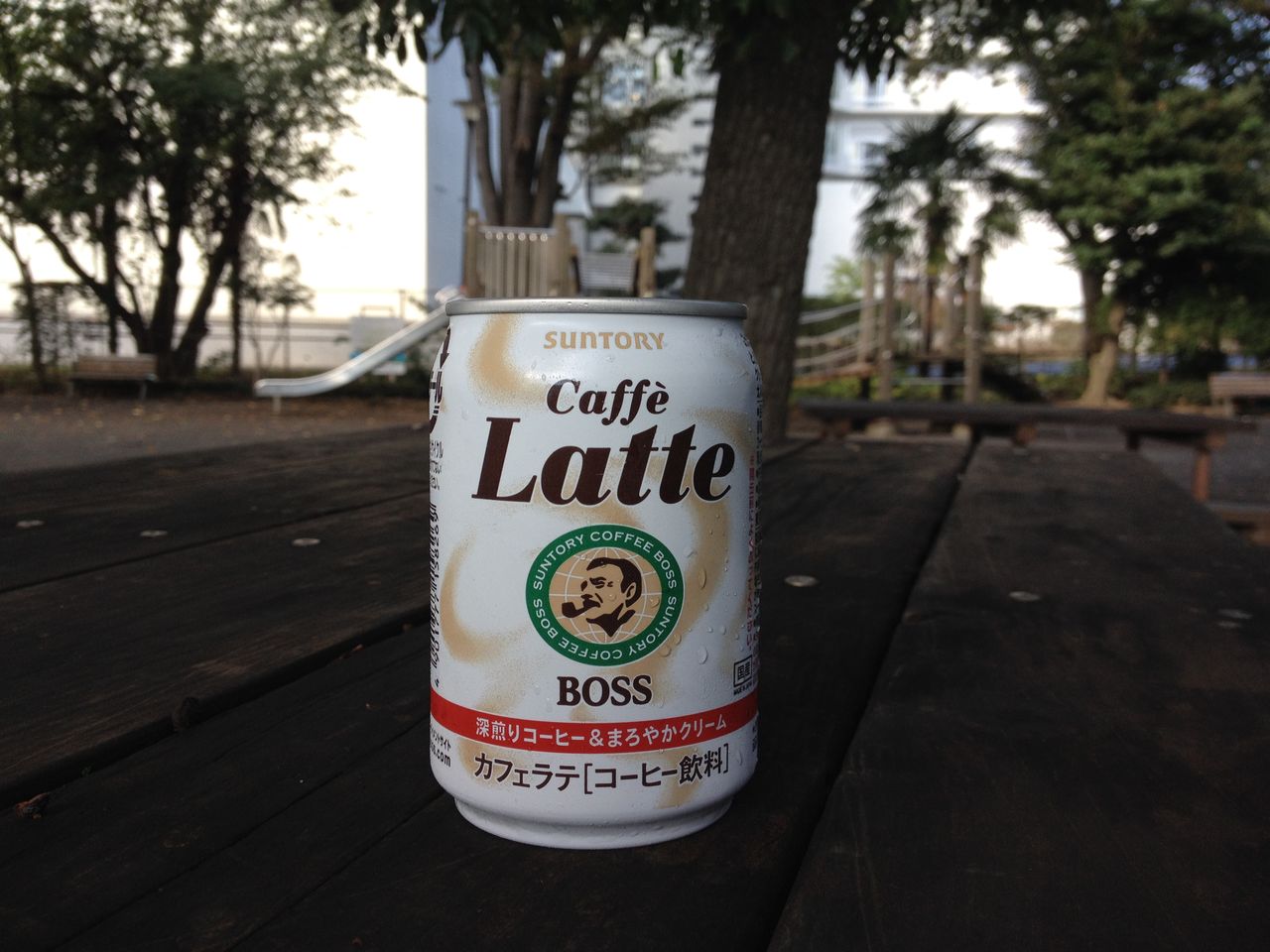 Evernote Camera Roll 20131031 055301