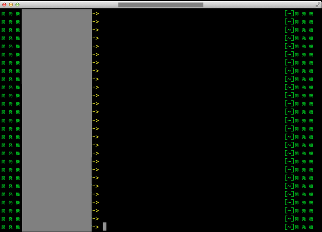 開発機プロンプト