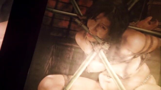 e² ♂ ERO CINEMA-Shot : 5月14日(2005年) 主演：杉本彩『花と蛇2 パリ 静子』 #東映