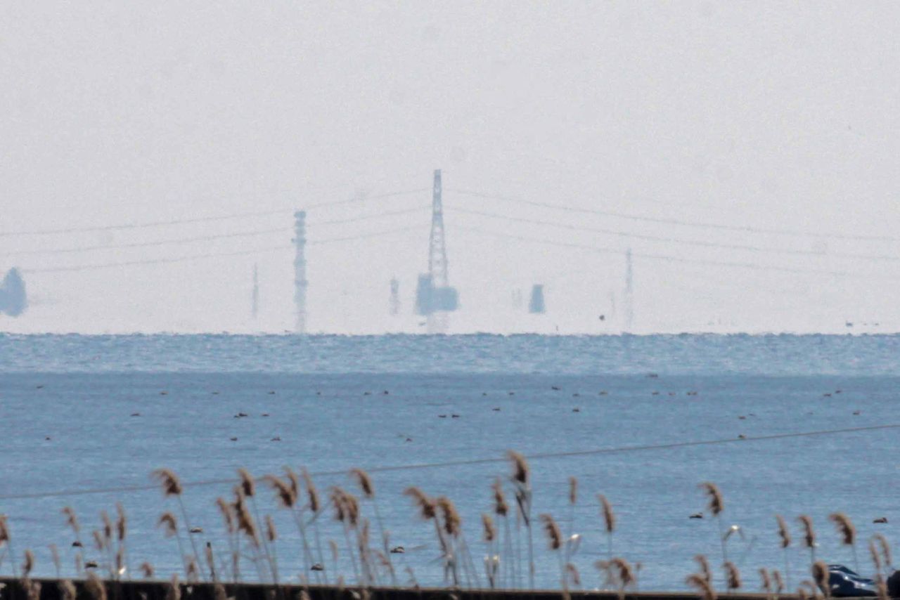 霞ヶ浦の蜃気楼 霞ヶ浦流域の徒然日誌 野鳥その他諸々のこと