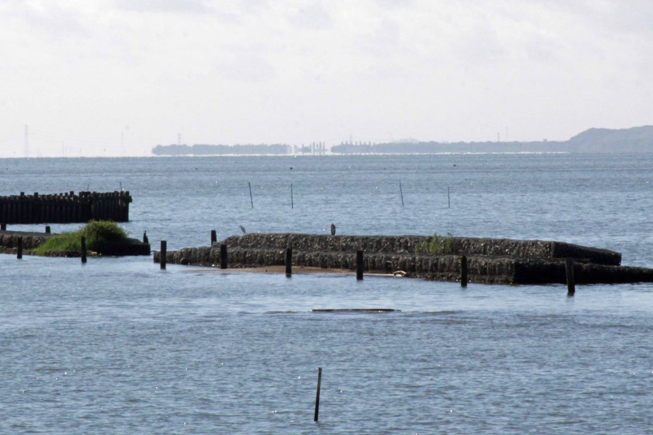 霞ヶ浦の蜃気楼 霞ヶ浦流域の徒然日誌 野鳥その他諸々のこと