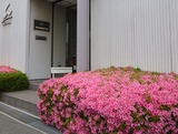 P1010591-1ws