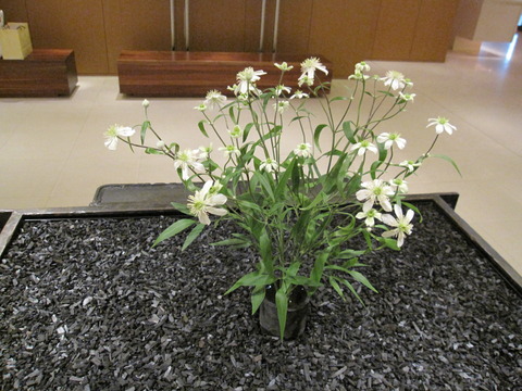 2013_4_20 031