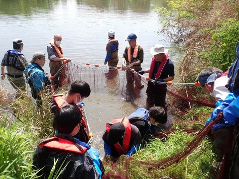 LINE_ALBUM_2023.4.9(日)庭窪活動写真_230409_10