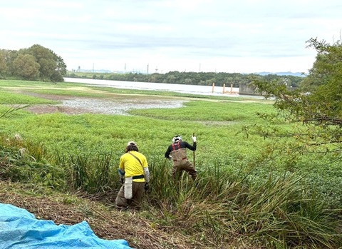 LINE_ALBUM_20251012庭窪ワンド_251012_8