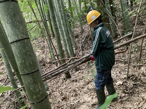 98CEFBA4-8D50-4182-AA97-AF8B4FB22991