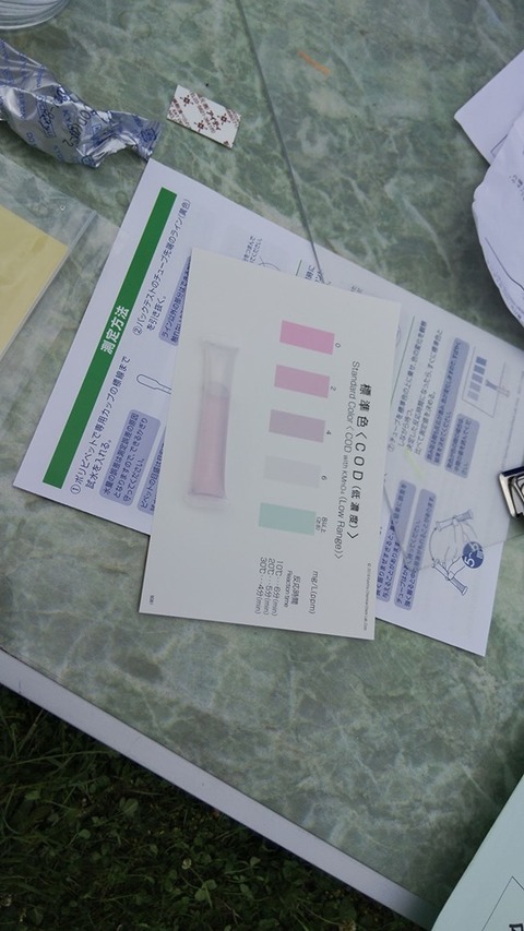 61650903_367132103921094_4644695827099418624_n