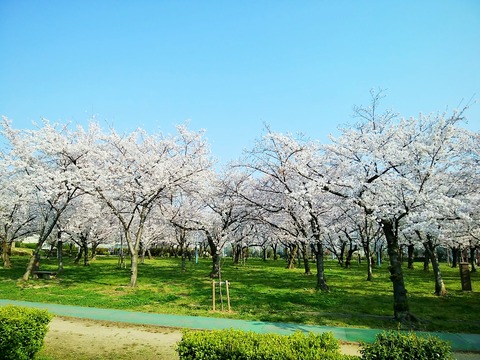 91505412_2634933453450065_3155391706480771072_o