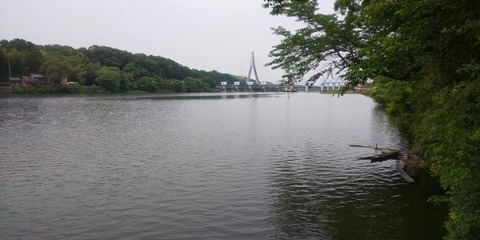 190602 豊田市水源公園(下流側)DSC_0112-1