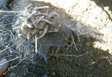 264279478_3166580506952021_7575275032007127767_n