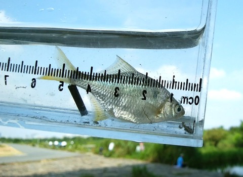 68815493_2427285774214835_6543681450560978944_n