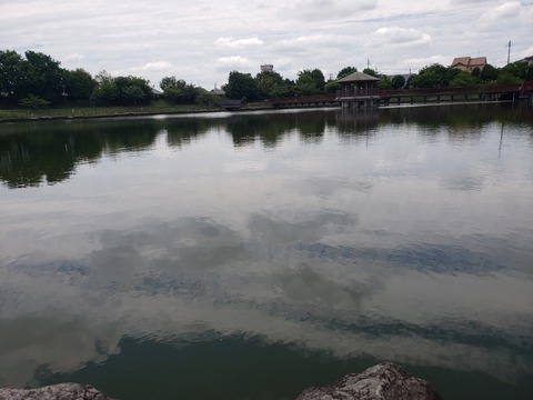 今池