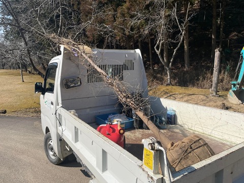 274361581_640649387227126_5418929493286338887_n