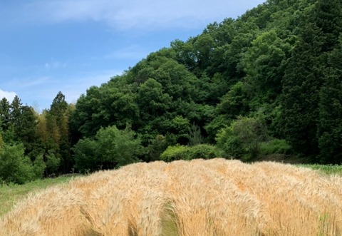 3B6C4FC8-236C-4457-9E36-7BFCDA994481