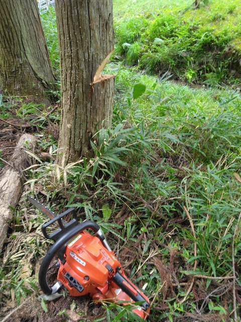 308195292_3384467378496665_2167698632612066927_n