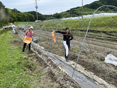 8987DBB8-E76A-485D-BC3A-69D346878B20