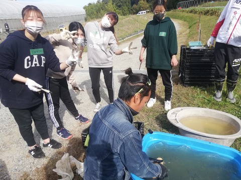 IMG_20211106_105404_YCVNFX