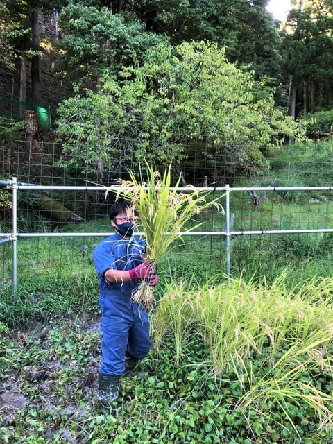 242424362_3123902381268312_330122438343008145_n